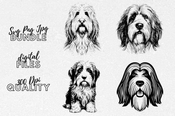 Bearded Collie SVG – Dog Clipart: A Designer's Review