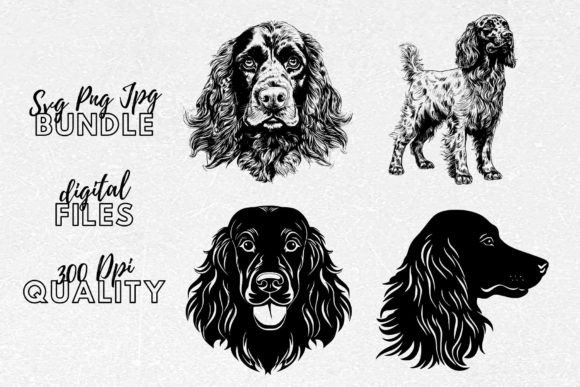 Havanese SVG Review: A Designer’s Take on Dog Lover Clipart